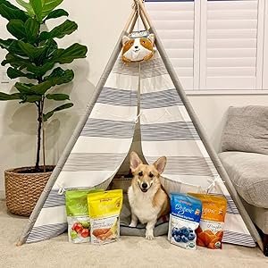 Dog Food, Freeze-dried, Dog Food, Dog Treats