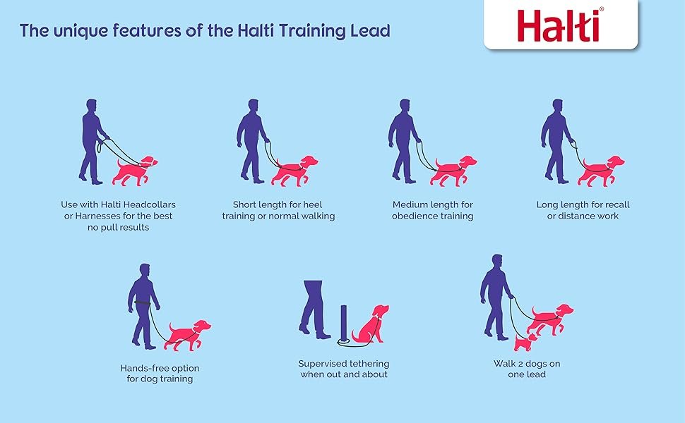 Halti Training Lead Features