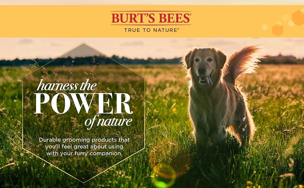 Burts Bees, Dogs, Puppy, Grooming, Tools, Combs, Brushes, Flea, Organic, Natural