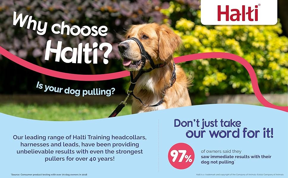 Why choose Halti? Is your dog pulling?